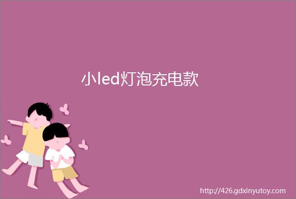 小led灯泡充电款