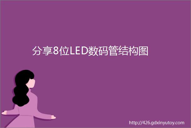 分享8位LED数码管结构图