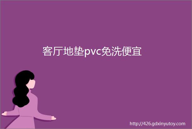 客厅地垫pvc免洗便宜