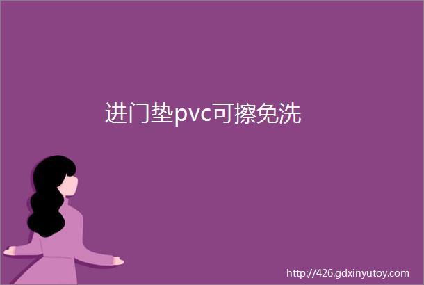 进门垫pvc可擦免洗