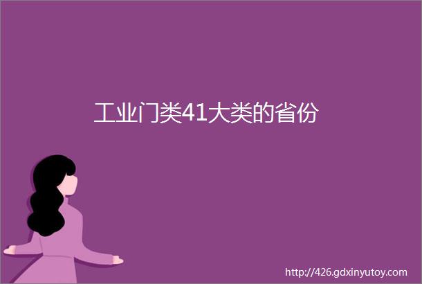 工业门类41大类的省份