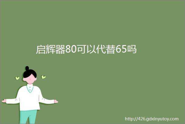 启辉器80可以代替65吗