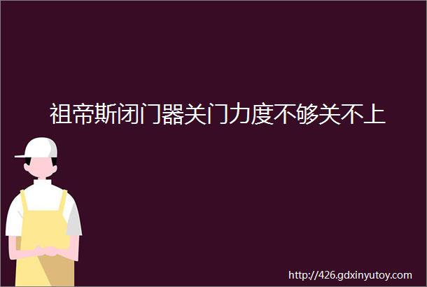 祖帝斯闭门器关门力度不够关不上