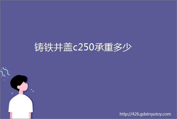 铸铁井盖c250承重多少