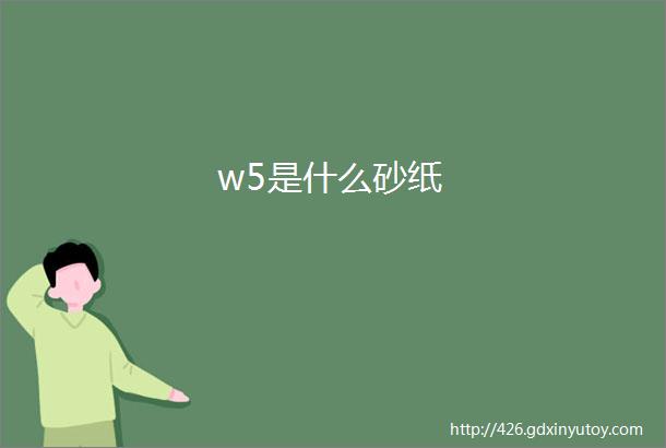 w5是什么砂纸